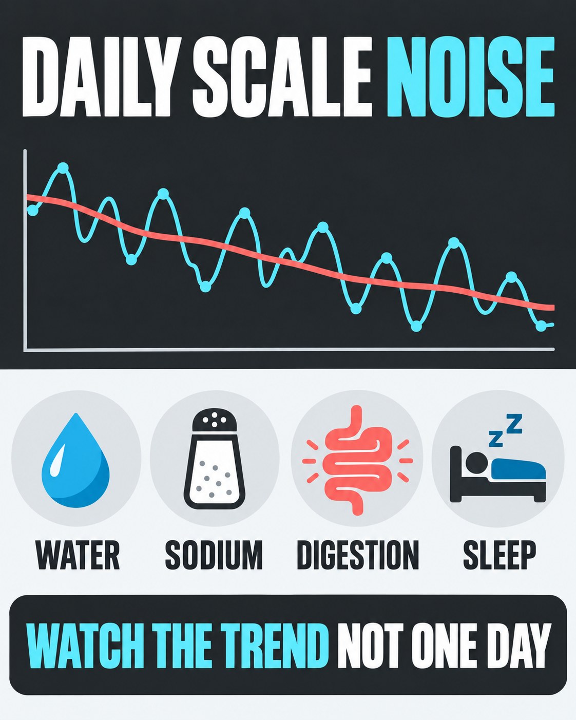 Charcoal, cyan, coral, and white chart infographic showing daily scale noise from four common factors.