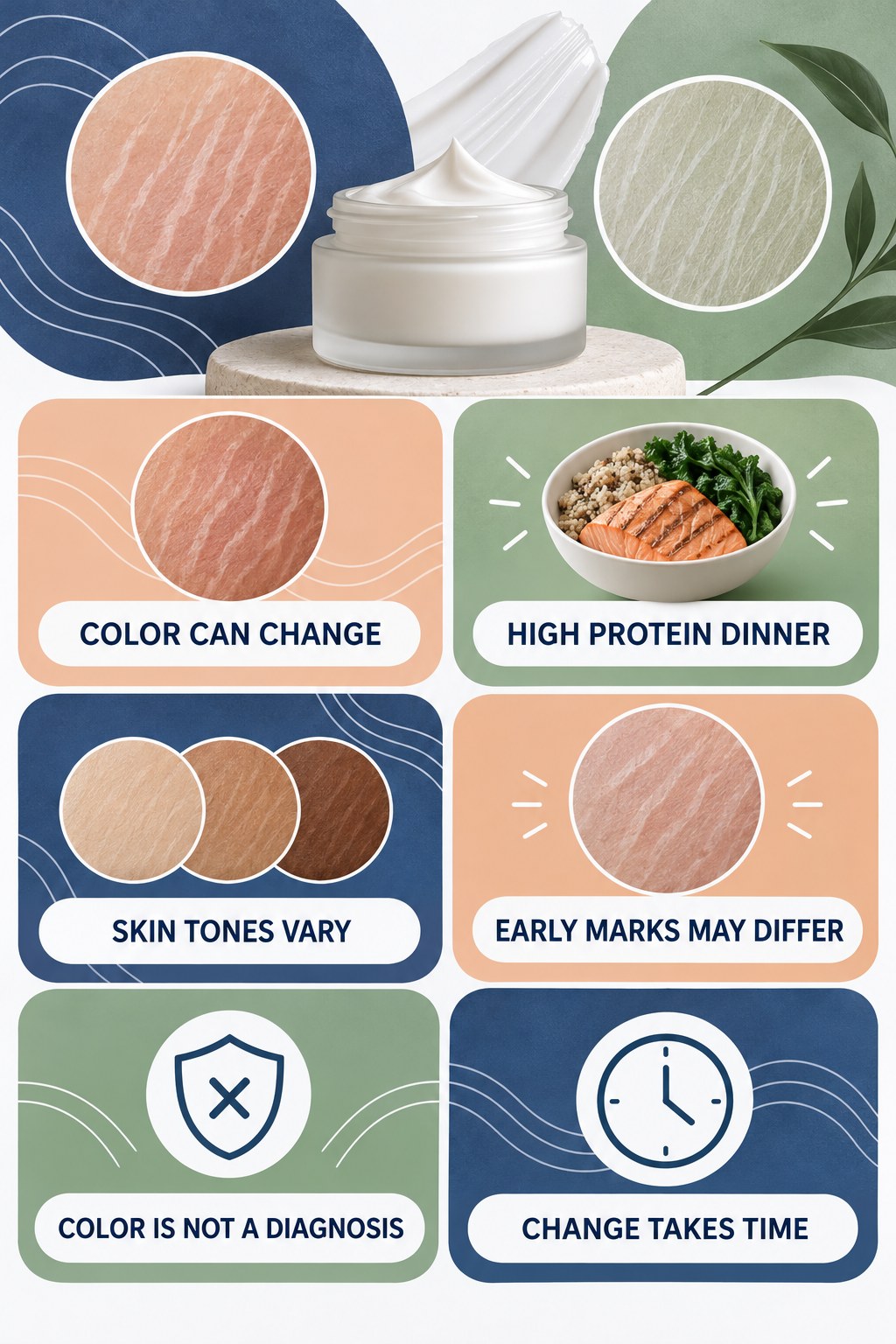 Stretch Mark Color and Texture Changes infographic for High Protein Dinner with four concise, body-neutral stretch-mark skincare points.